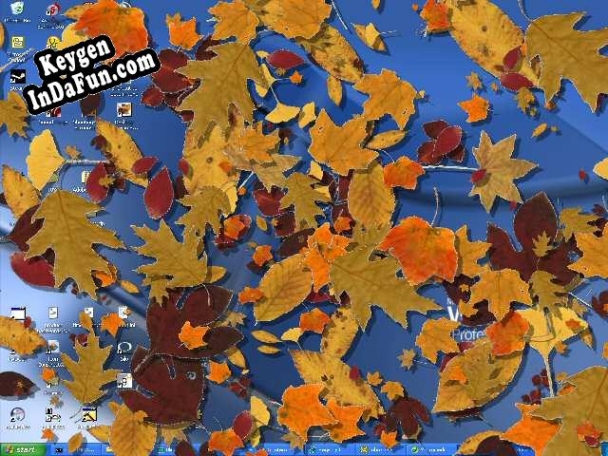 Desktop Autumn Screensaver key free