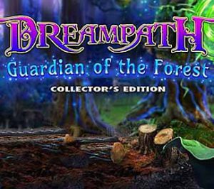 Dreampath Collection (2014 - 2017)