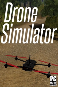 Drone Simulator (2021)