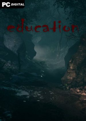 Education (2020)