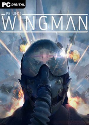 Project Wingman (2020)