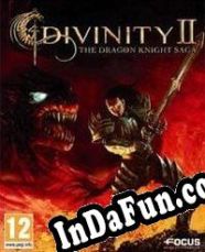 Divinity II: The Dragon Knight Saga (2010/ENG/MULTI10/License)