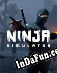 Ninja Simulator (2021/ENG/MULTI10/RePack from Braga Software)