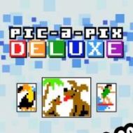 Pic-a-Pix Deluxe (2021/ENG/MULTI10/RePack from TECHNIC)
