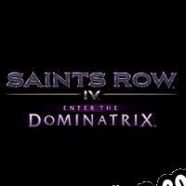 Saints Row IV: Enter the Dominatrix (2013/ENG/MULTI10/Pirate)