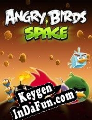 Key for game Angry Birds Space
