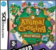 Key for game Animal Crossing: Wild World