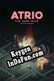 Key generator (keygen)  Atrio: The Dark Wild