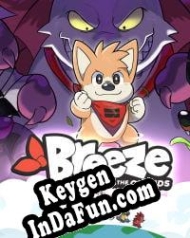 Registration key for game  Breeze in the Clouds