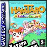 Key for game Hamtaro: Rainbow Rescue
