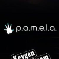 P.A.M.E.L.A. CD Key generator