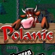 Key for game Polanie Remake