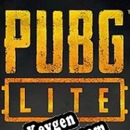 Activation key for PUBG Lite