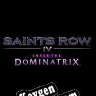 Key for game Saints Row IV: Enter the Dominatrix