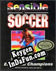 Free key for Sensible Soccer: European Champions 92/93 Edition