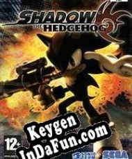 Shadow the Hedgehog activation key