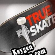 Key for game True Skate