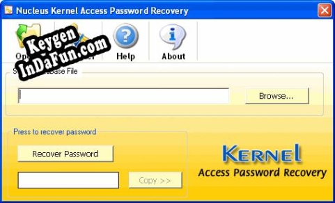 Activation key for Access Password Recovery PROFESSIONAL