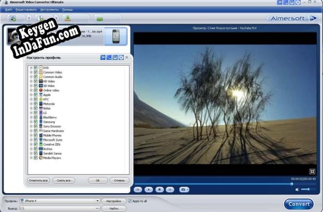 Registration key for the program Aimersoft Video Converter Ultimate