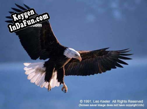 Activation key for American Bald Eagles