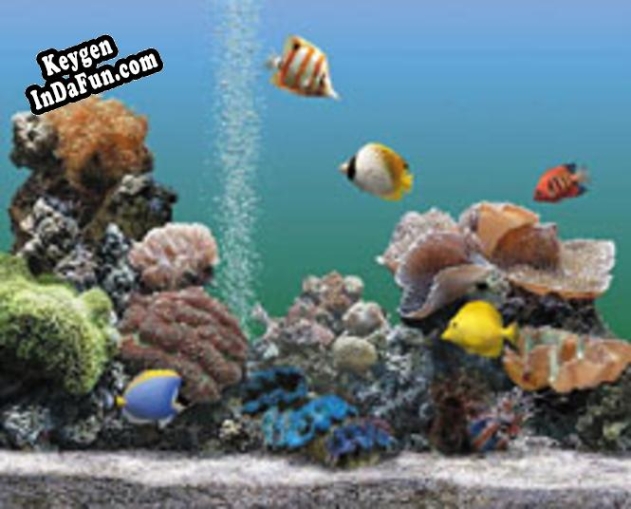 Registration key for the program AQUARIUM 2.0 Deluxe (fÃ¼r PC)