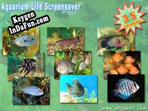Key for Aquarium Life Screensaver