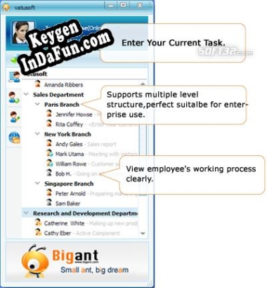 Registration key for the program BigAnt Messenger