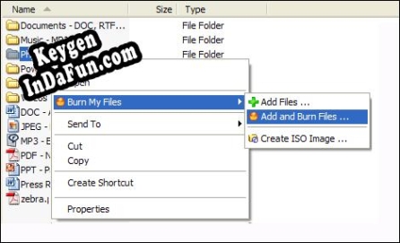 Burn My Files serial number generator