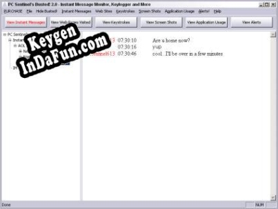 Free key for Busted.Net Keylogger and Message Monitor