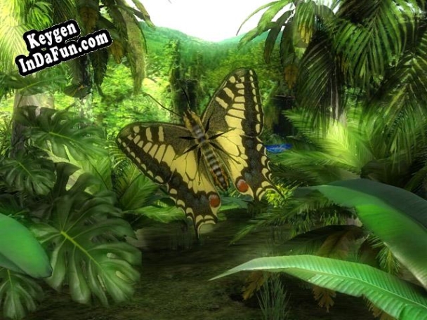 Registration key for the program Butterfly Jungle 3D Screensaver