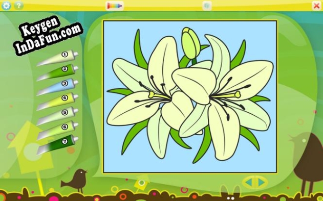 Activation key for Color by Numbers - Flowers for Mac