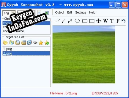 Key generator (keygen) Cyyok Screenshot