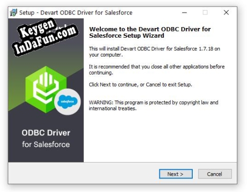 Devart ODBC Driver for Salesforce activation key