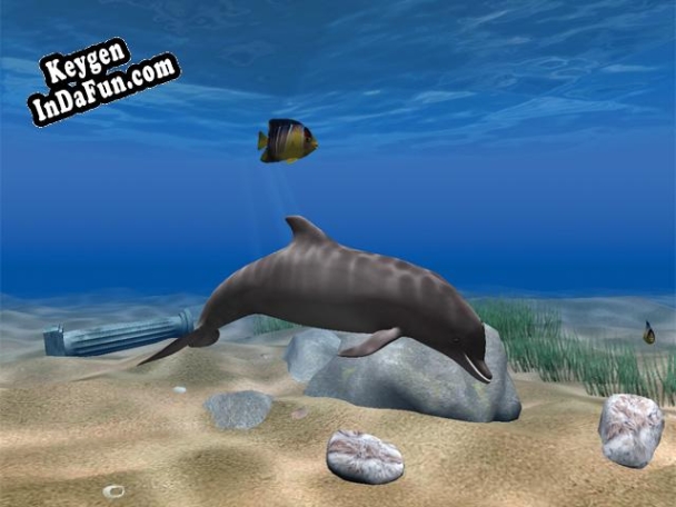 Dolphin Aqua Life 3D Screensaver key free