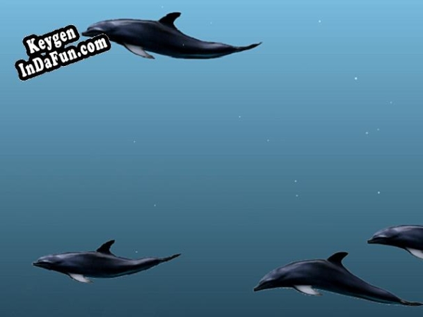 Dolphins 3D Screensaver activation key