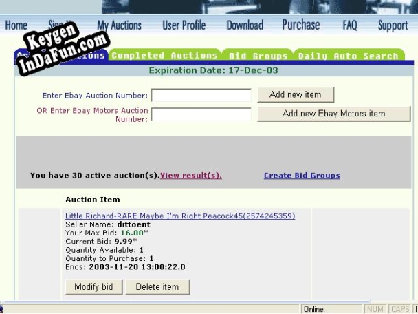 eBay Auction Sniper and Snipe Bid Tool activation key