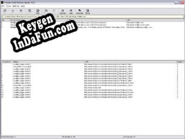 Registration key for the program FXstyle Email Address Spider