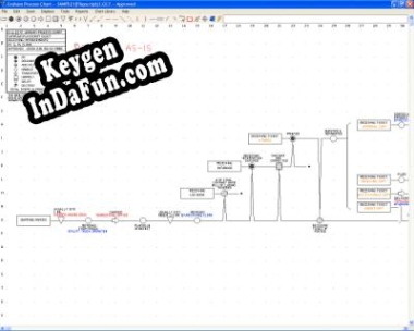 Graham Process Mapping activation key