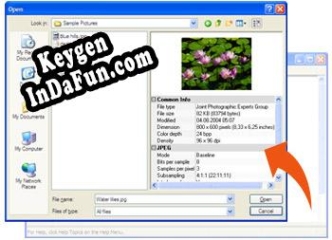 Registration key for the program Image Open Save Dialog