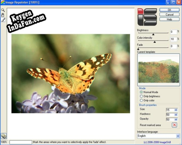 Image Repainter key free
