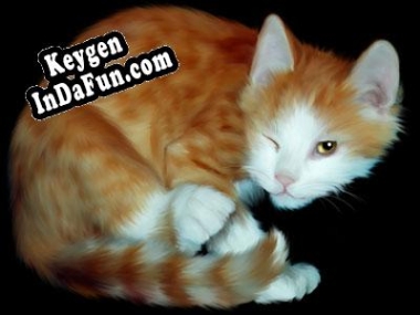 Key generator (keygen) Lovely Cats screensaver