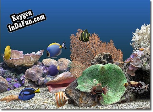 Marine Aquarium key free