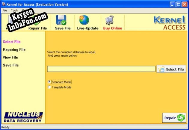 MS Access Repair key generator