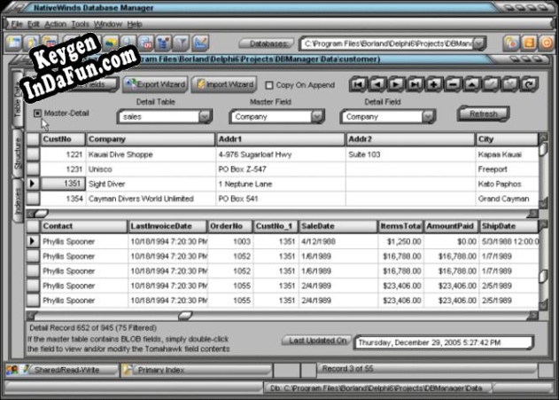 NativeWinds Database Manager key free