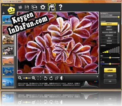 Free key for Photo-Bon Image Color Optimization