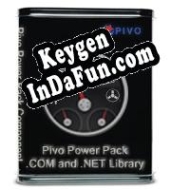 Key for Pivo Power Pack Component