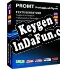 PROMT Professional 9.0 Gigant (Box) activation key