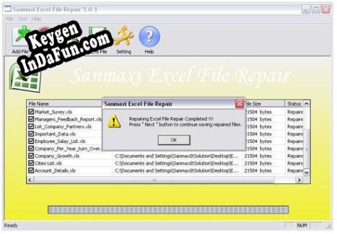 Registration key for the program Repair Corrupt Excel Files