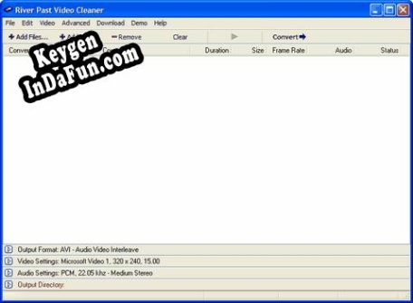 River Past Video Cleaner activation key