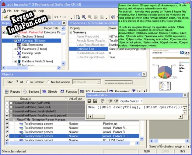 .rpt Inspector Professional Suite for Crystal Reports 9 activation key